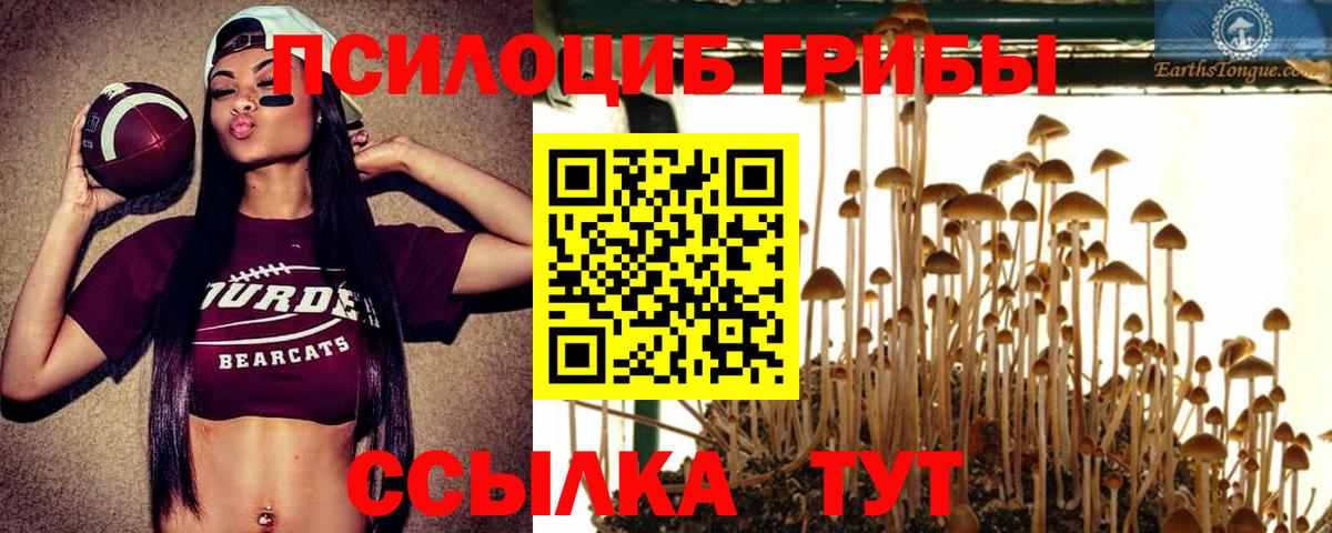 Уссурийск  Псилоцибиновые грибы Psilocybine cubensis  Вход с VPN 